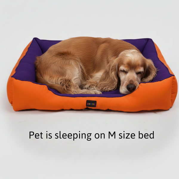 Skatrs Square Shaped Bed for Dogs & Cats (Orange/Purple)