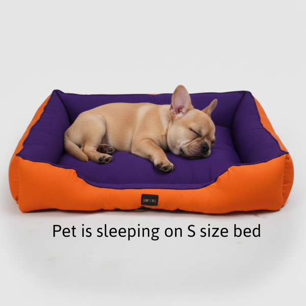 Skatrs Square Shaped Bed for Dogs & Cats (Orange/Purple)