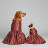Skatrs Burgundy Regal Ensembl Festive Grace Lehenga for Dogs and Cats Both-Clothing & Accessories Skatrs