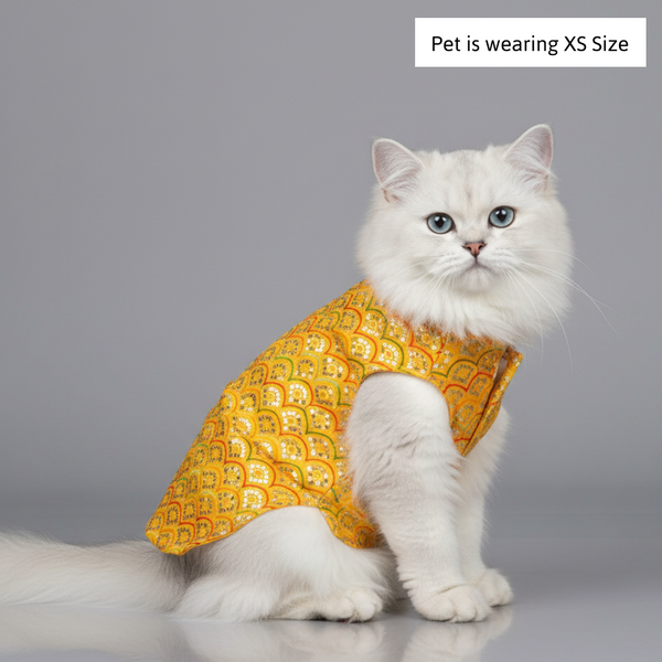 Skatrs Festive Sequence Embroidered Sherwani for Cats and Dogs (Yellow)