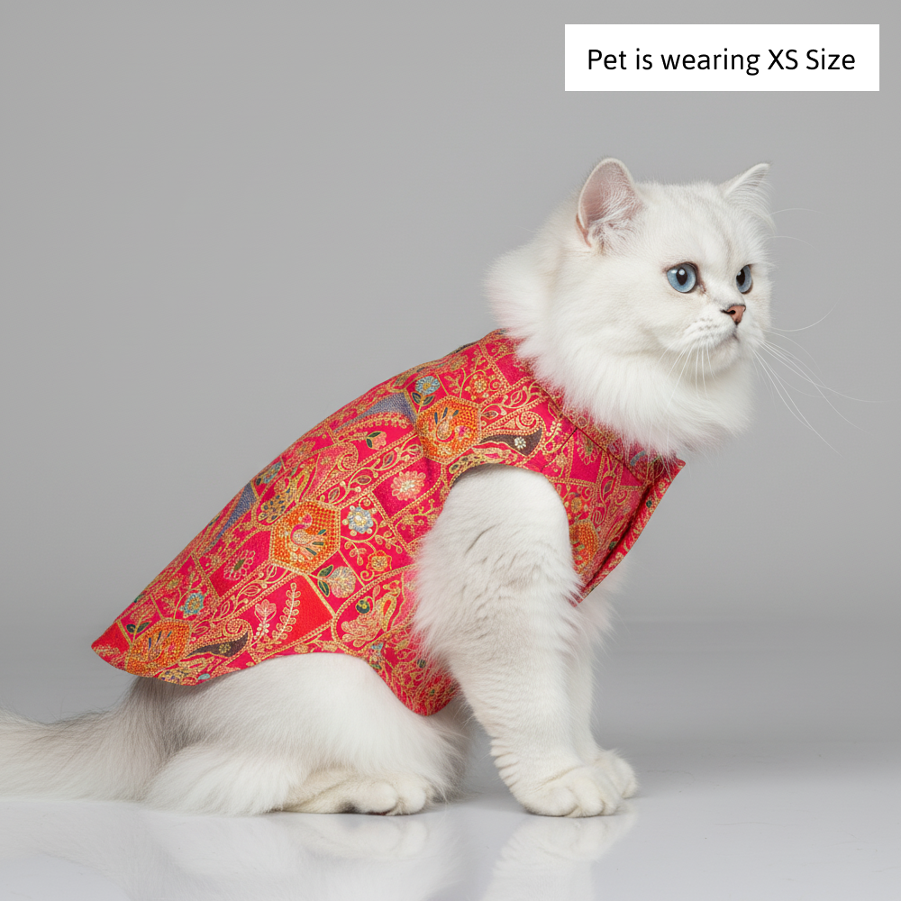 Skatrs Royale Sherwani for cats and dogs (Pink) Both-Clothing & Accessories Skatrs