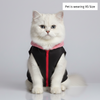 Skatrs Midnight Pop In-Style Hoodie For Dogs and Cats (Black & Neon Pink) Both-Clothing & Accessories Skatrs