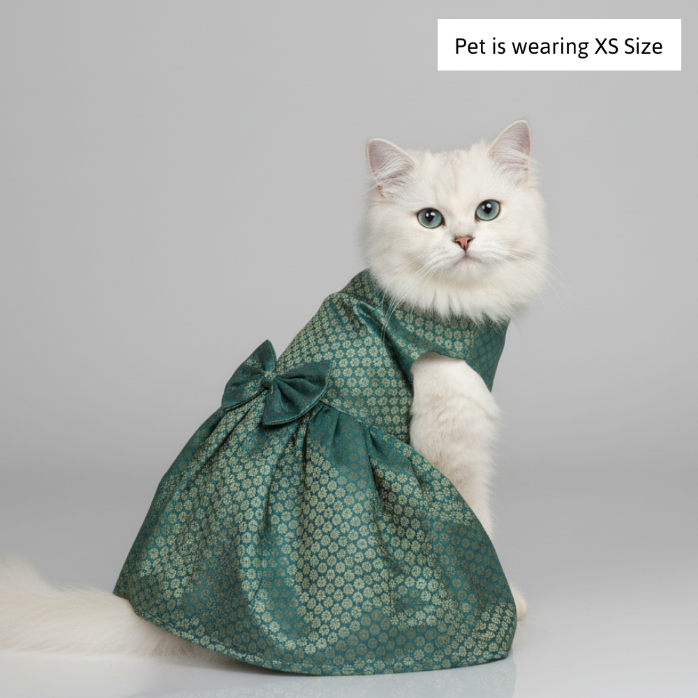 Skatrs Brocade Gold Printed Dress for Dogs and Cats (Teal) Both-Clothing & Accessories Skatrs