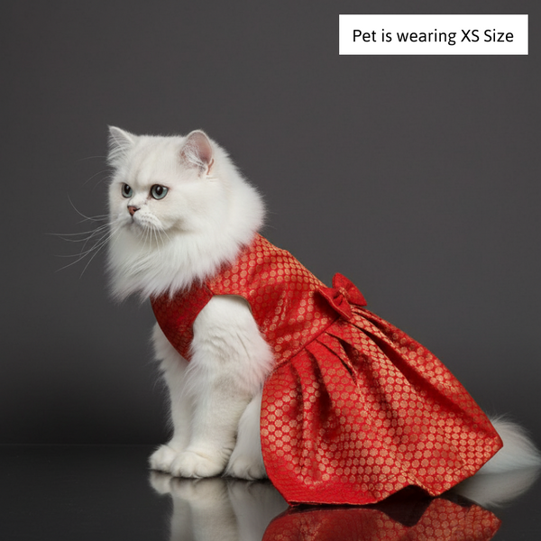 Skatrs Brocade Gold Printed Dress for Dogs and Cats (Red)