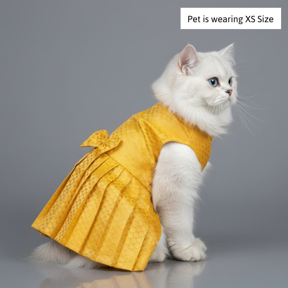 Skatrs Brocade Gold Printed Dress for Dogs and Cats (Yellow) Both-Clothing & Accessories Skatrs XS