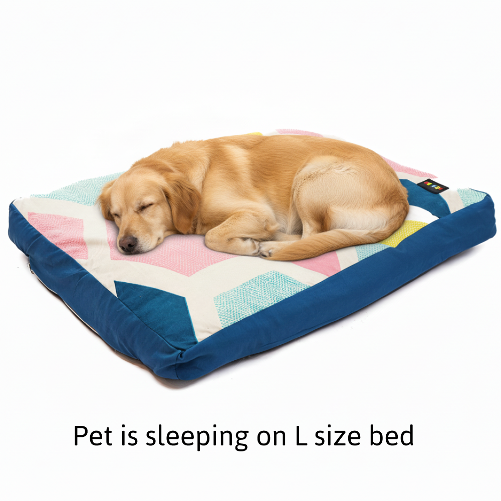 Skatrs ColorPop Flat Bed for Dogs & Cats Both-Bedding, Mats & Travel Supplies Skatrs