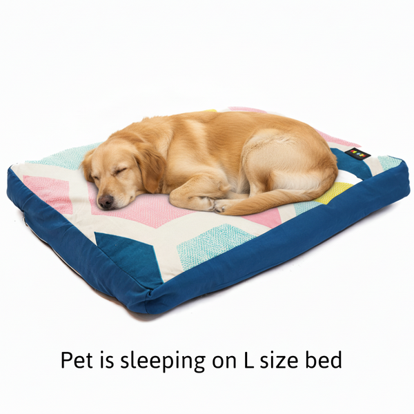 Skatrs ColorPop Flat Bed for Dogs & Cats
