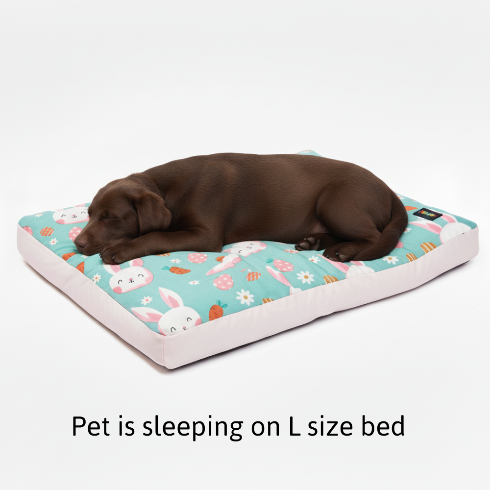 Skatrs Bunny Bloom Flat Bed for Dogs & Cats (Light Blue) Both-Bedding, Mats & Travel Supplies Skatrs