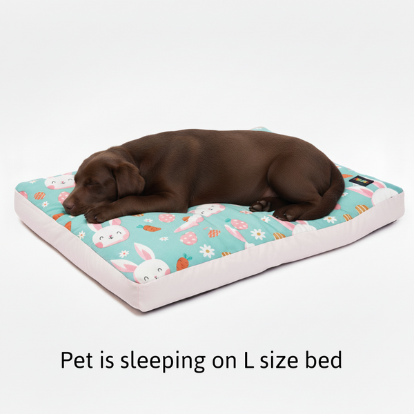Skatrs Bunny Bloom Flat Bed for Dogs & Cats (Light Blue)