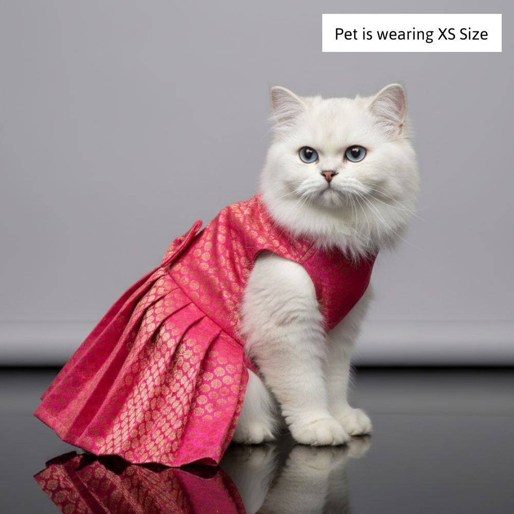 Skatrs Brocade Gold Printed Dress for Dogs and Cats (Pink) Both-Clothing & Accessories Skatrs XS