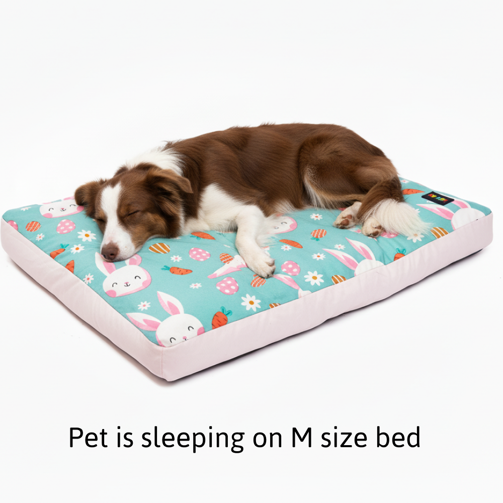 Skatrs Bunny Bloom Flat Bed for Dogs & Cats (Light Blue) Both-Bedding, Mats & Travel Supplies Skatrs
