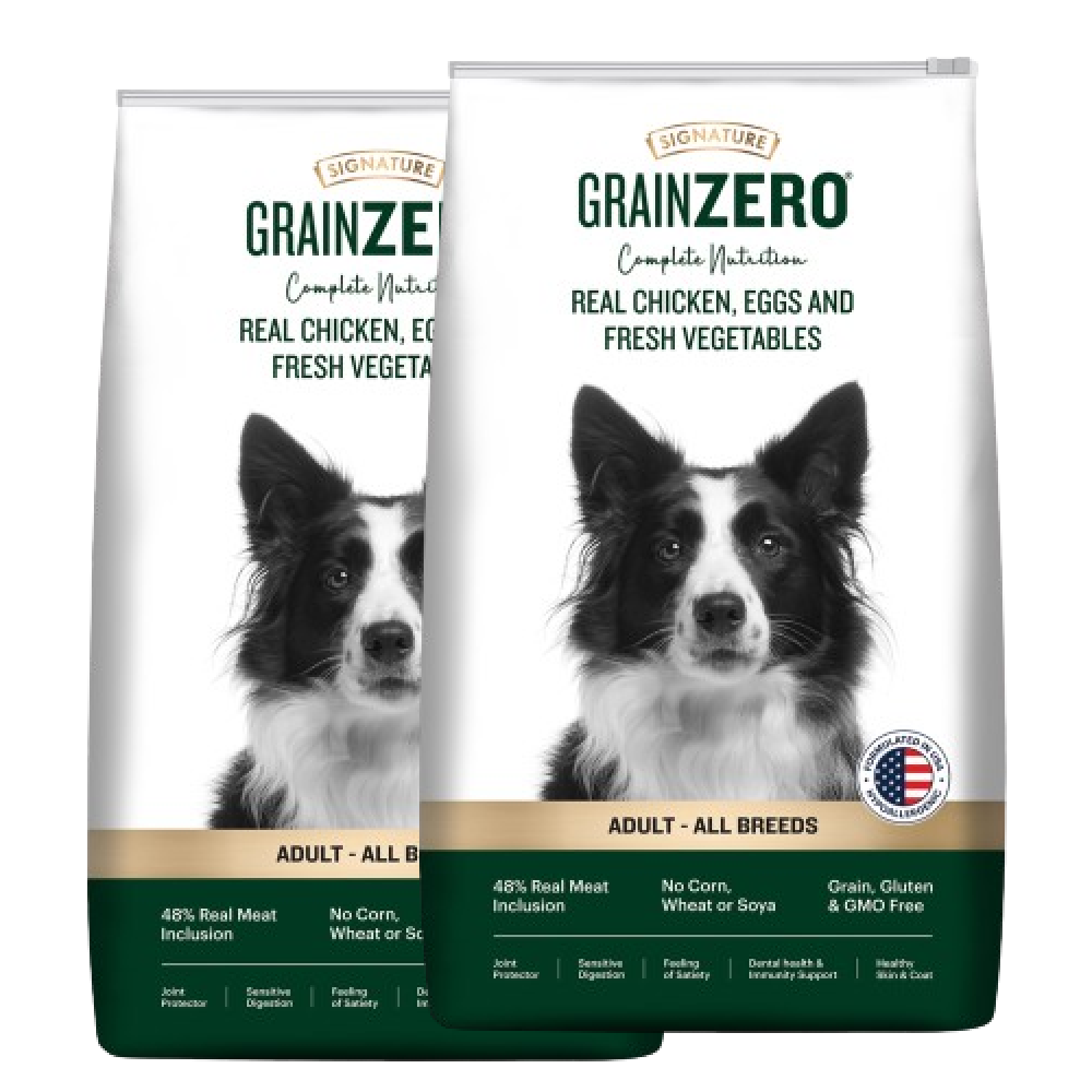Border collie food allergies hot sale