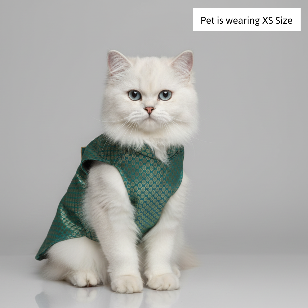 Skatrs Brocade Gold Printed Sherwani for Dogs and Cats (Teal) Both-Clothing & Accessories Skatrs