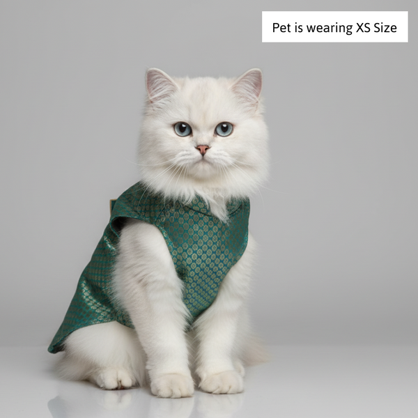 Skatrs Brocade Gold Printed Sherwani for Dogs and Cats (Teal)