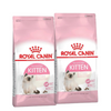 Royal Canin Kitten Cat Dry Food Cats- Dry food Royal Canin 8kg (2x4kg)