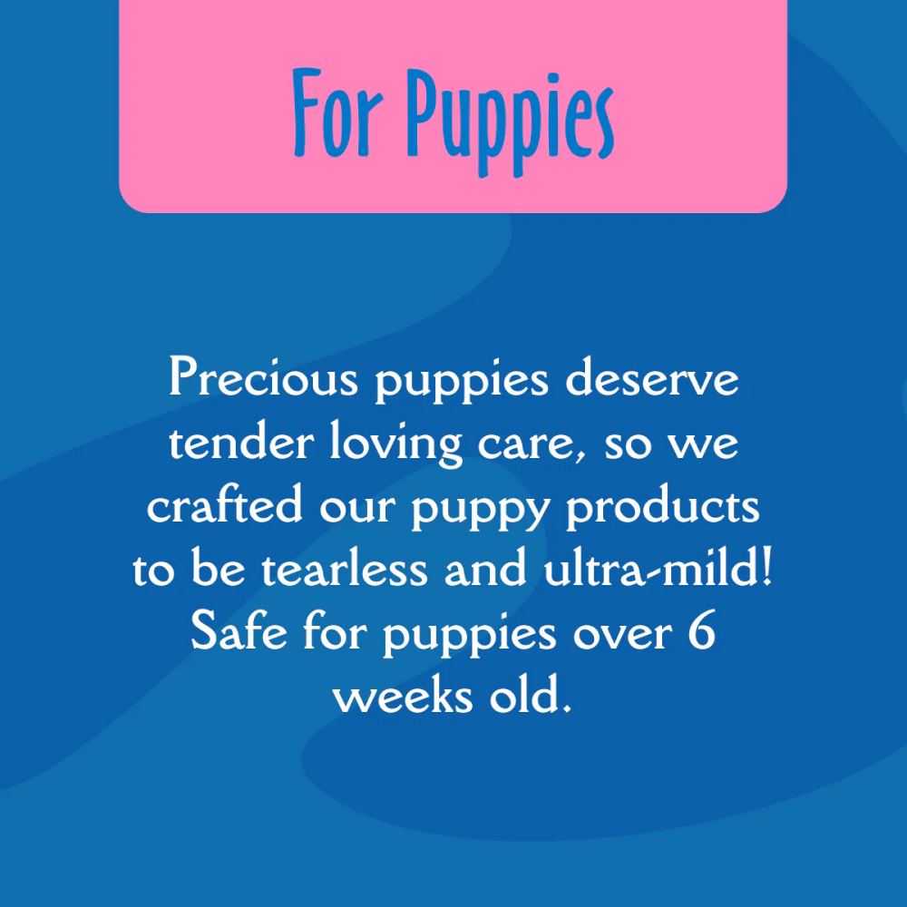 EarthBath Ultra Mild Grooming Wipes for Dogs and Cats Both-Grooming Supplies EarthBath