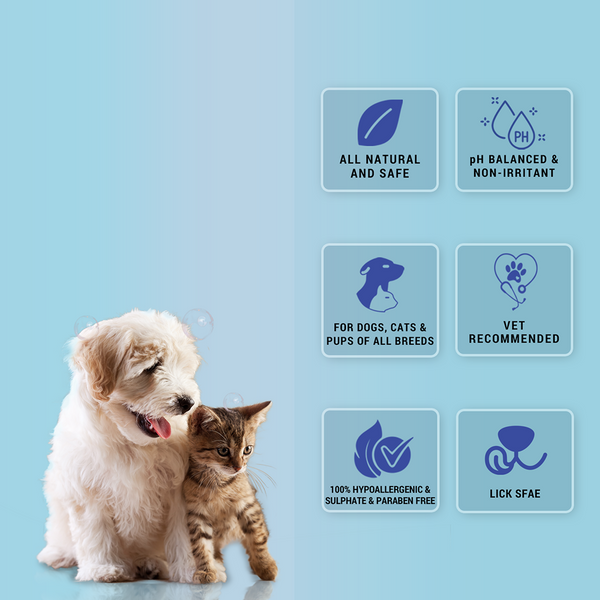 Natural Remedies Fresh Me Up Bloom Dry Shampoo for Dogs and Cats