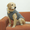 Pets Way Frost Winter Jacket for Dogs (Grey) Dogs-Clothing & Accessories Pets Way Dropship