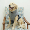 Pets Way Frost Winter Jacket for Dogs (Navy) Dogs-Clothing & Accessories Pets Way Dropship