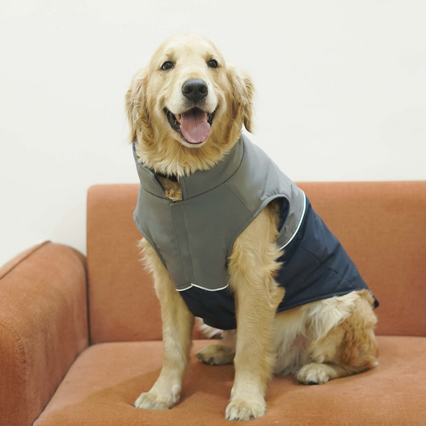 Pets Way Frost Winter Jacket for Dogs (Navy)