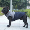 Pets Way Frost Winter Jacket for Dogs (Navy) Dogs-Clothing & Accessories Pets Way Dropship XS