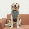 Pets Way Frost Winter Jacket for Dogs (Wine) Dogs-Clothing & Accessories Pets Way Dropship