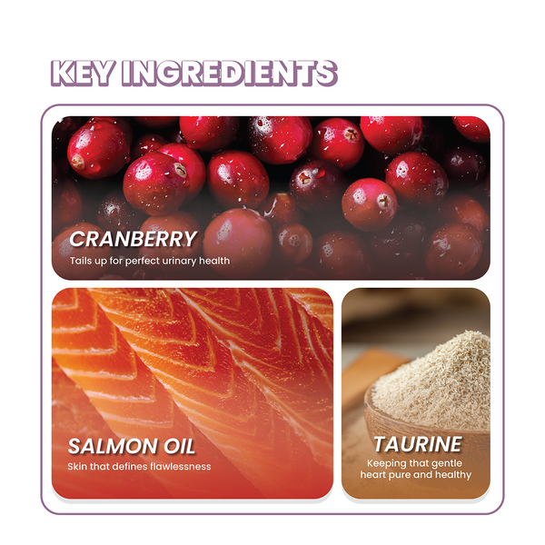 Fullr Daily Wellness Soft & Chewy Cat Treats