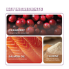 Fullr Daily Wellness Soft & Chewy Cat Treats Cats-Treats & Others Fullr