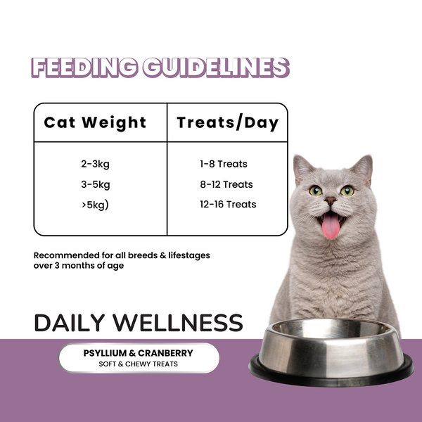 Fullr Daily Wellness Soft & Chewy Cat Treats