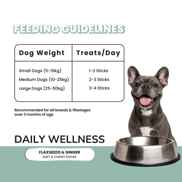 Fullr Daily Wellness Dog Treats Flaxseed & Ginger Soft & Chewy Sticks for Dogs