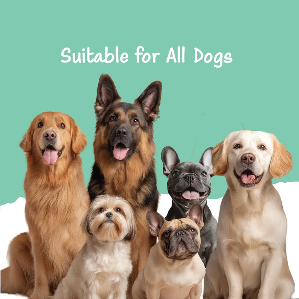 Fullr Daily Wellness Soft and Chewy Stick Treats Dog Treats + Others Fullr