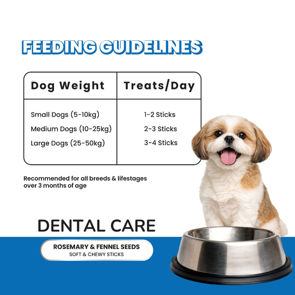 Fullr Dental Care Dog Treats Rosemary & Fennel Soft & Chewy Sticks for Dogs