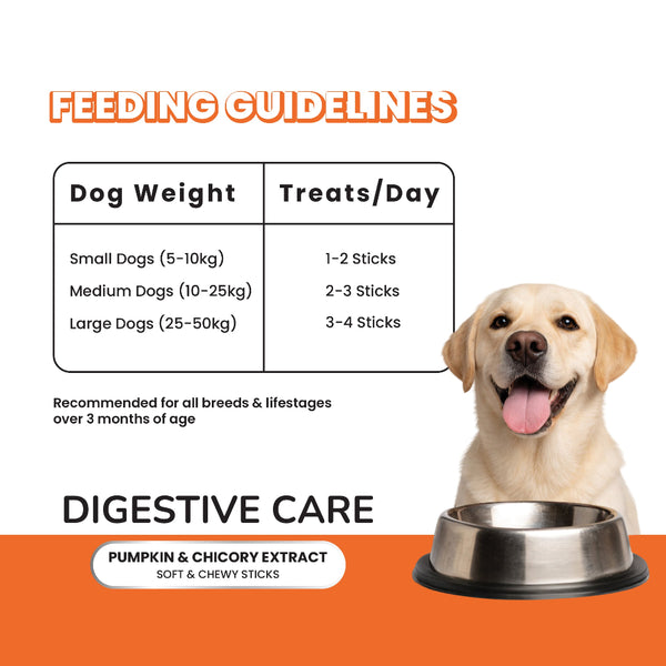 Fullr Digestive Care Dog Treats Pumpkin & Chicory Extract Soft & Chewy Sticks for Dogs