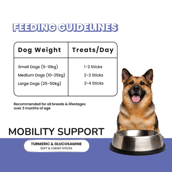 Fullr Mobility Support Turmeric & Glucosamine Soft & Chewy Dog Treats