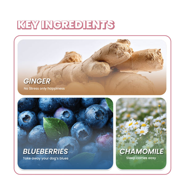Fullr Calming Treats Chamomile & Blueberries Soft & Chewy Sticks for Dogs