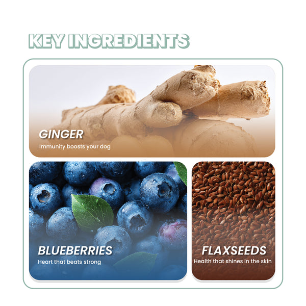Fullr Daily Wellness Dog Treats Flaxseed & Ginger Soft & Chewy Sticks for Dogs