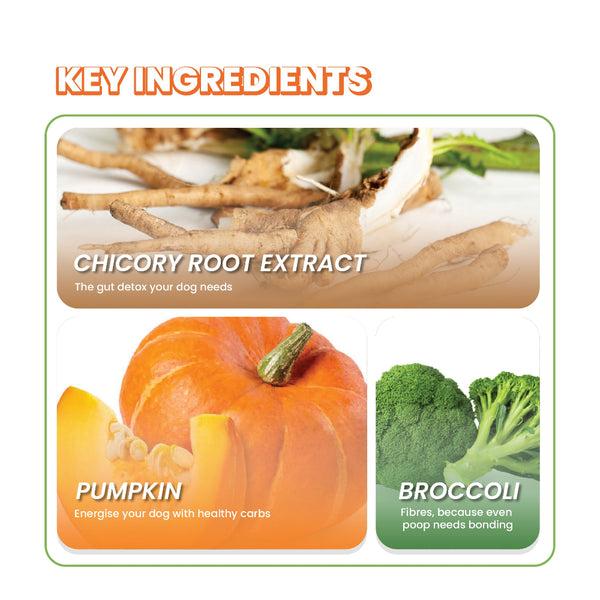 Fullr Digestive Care Dog Treats Pumpkin & Chicory Extract Soft & Chewy Sticks for Dogs