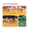 Fullr Mobility Support Turmeric & Glucosamine Soft & Chewy Dog Treats Dog Treats + Others Fullr