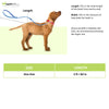 Pet Vogue Reflective Rope Leash for Dogs (Orange)