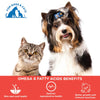 Pawsome Companion Furever Salmon Oil for Dogs & Cats 100ml Both-Pharmacy Scientific Remedies Pharmacy