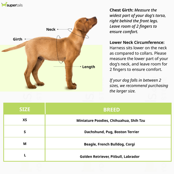 Furry & Co Ultra Harness, Leash and Collar for Dogs Combo (Limelight) - L