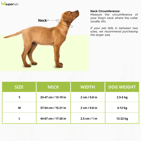 Furry & Co Ultra Collar for Dogs (Limelight)