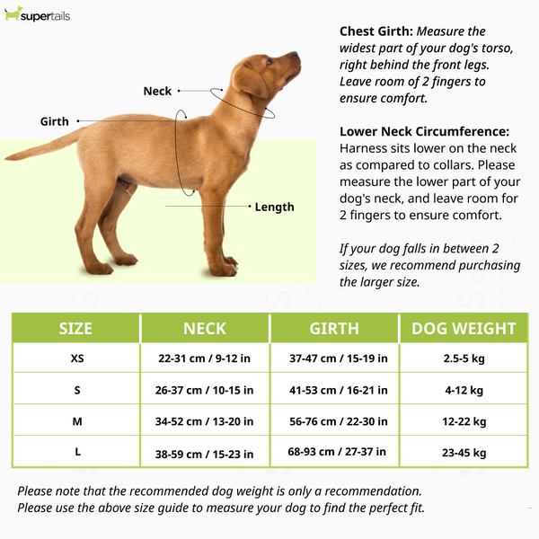 Furry & Co Ultra Harness, Leash and Collar for Dogs Combo (Limelight) - L