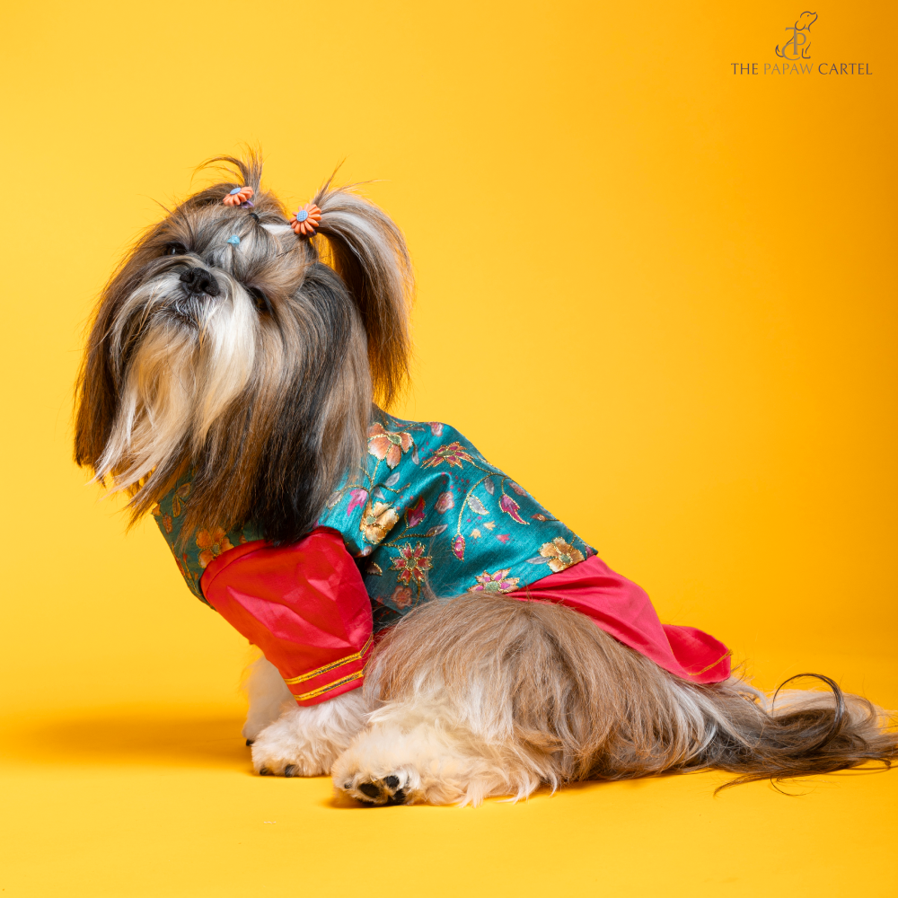 The Papaw Cartel Fuschia Kurta with Contrasting Floral Teal Koti for Dogs (Pink) Dogs-Clothing & Accessories The Papaw Cartel Dropship