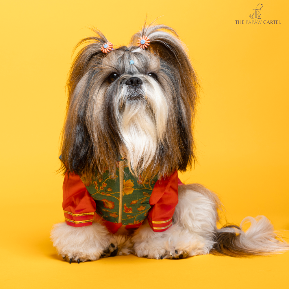 The Papaw Cartel Fuschia Kurta with Contrasting Floral Teal Koti for Dogs (Pink) Dogs-Clothing & Accessories The Papaw Cartel Dropship