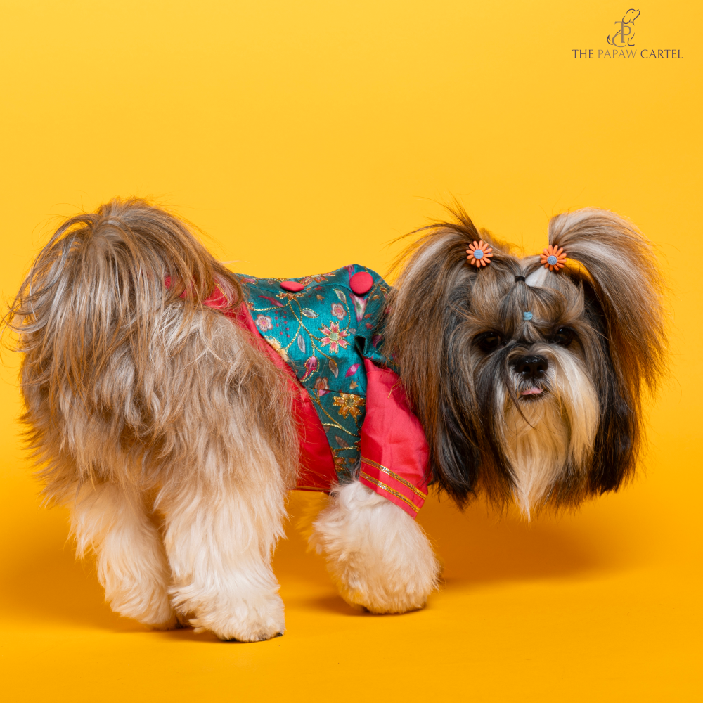 The Papaw Cartel Fuschia Kurta with Contrasting Floral Teal Koti for Dogs (Pink) Dogs-Clothing & Accessories The Papaw Cartel Dropship