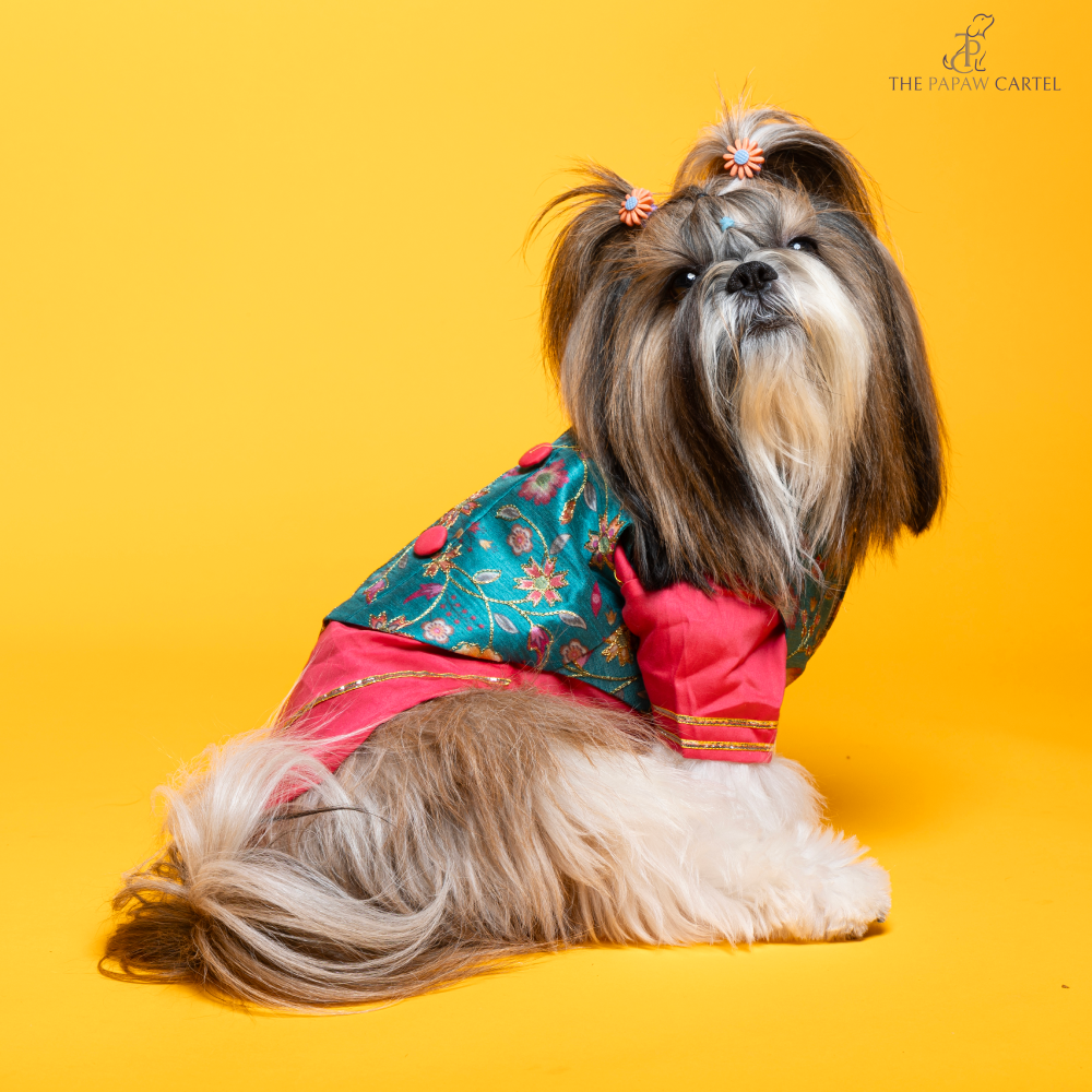 The Papaw Cartel Fuschia Kurta with Contrasting Floral Teal Koti for Dogs (Pink) Dogs-Clothing & Accessories The Papaw Cartel Dropship S