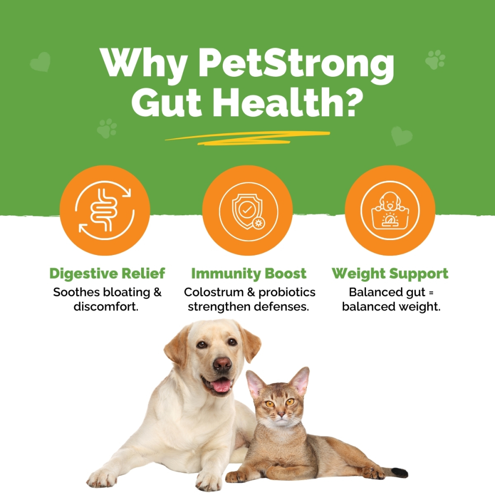 PetStrong Probiotic and Prebiotic Gut Health Supplement Sachet for Dogs and Cats Dogs-Health & Wellness PetStrong