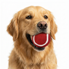 Skatrs Tennis Ball for Dogs (Red) Dogs-Toys Skatrs