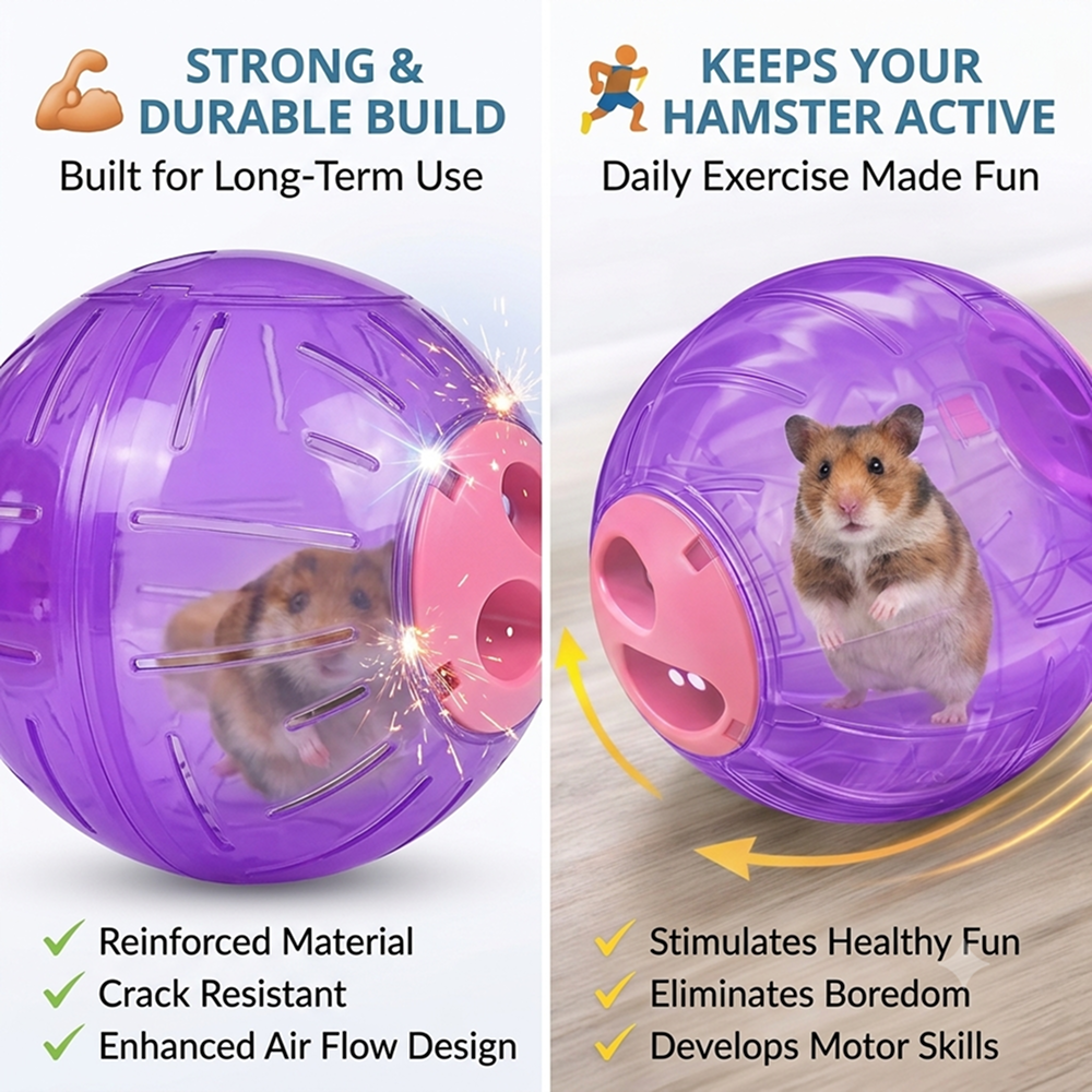 M Pets Hamster Run About Ball (Purple) Hamster & Guinea pigs M Pets